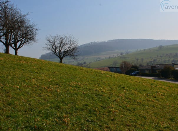 Am Rai, Olsberg, Aargau 4305