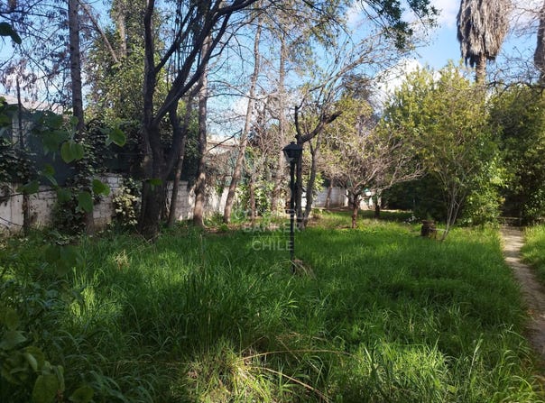 Gran Avenida José Miguel Carrera, El Bosque, Santiago Metropolitan Region