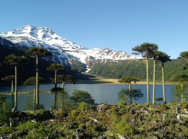 R-761, Curacautin, Araucania