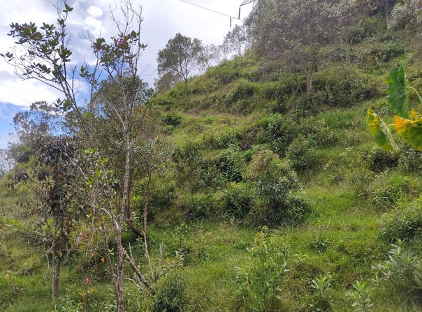 276 Cl. 31, Guatapé, Antioquia 053840