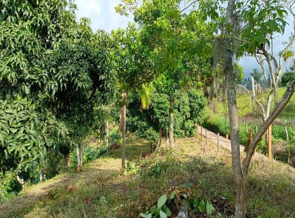 Cl. 7 #16-14, Pacho, Cundinamarca, Colombia, Pacho, Cundinamarca 254001