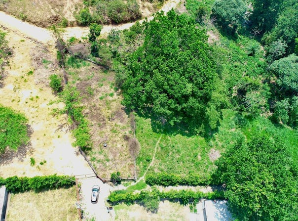 LOTE 1 SECTOR TONZAGA III, Floridablanca, Santander