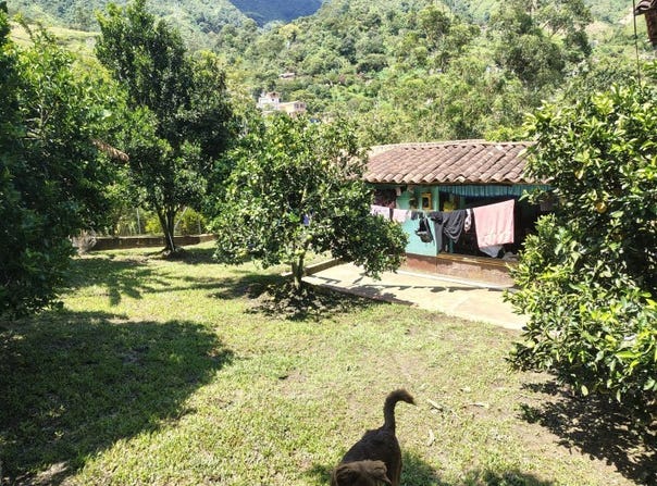 Cl. 10 #9-61, Angelópolis, Antioquia, Colombia, Angelópolis, Antioquia