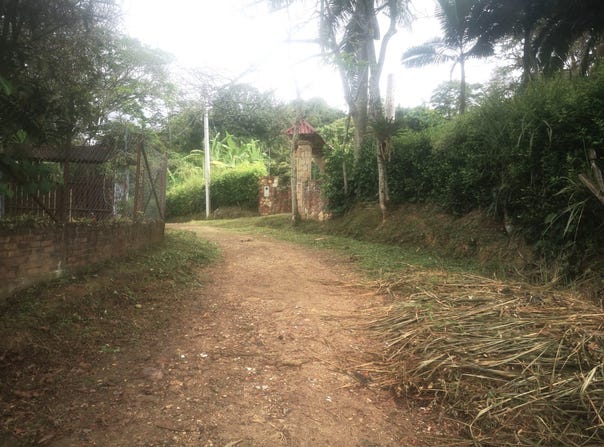 La Esperanza, La Mesa, Cundinamarca, Colombia, La Mesa, Cundinamarca 252607