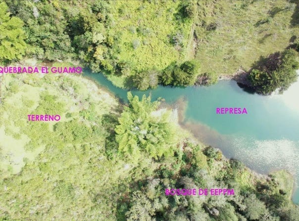 Entrada por aguas profundas, vía Guatapé- Granada, Guatapé, Antioquia