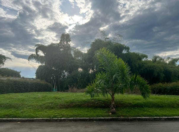 Q5V3+7F Pereira, Risaralda, Colombia, Pereira, Risaralda