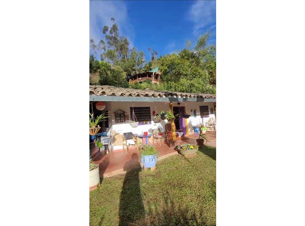 Felidia, Cali, Valle del Cauca, Colombia, Cali, Valle del Cauca 760009