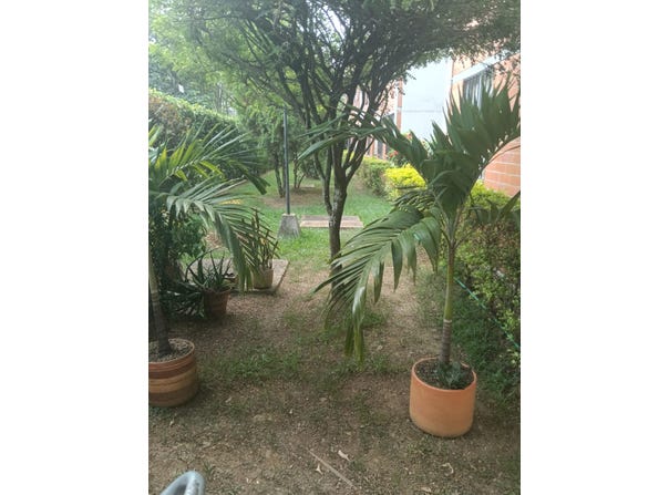 Cl. 53 # 83-31, Cali, Valle del Cauca, Colombia, Cali, Valle del Cauca 760026