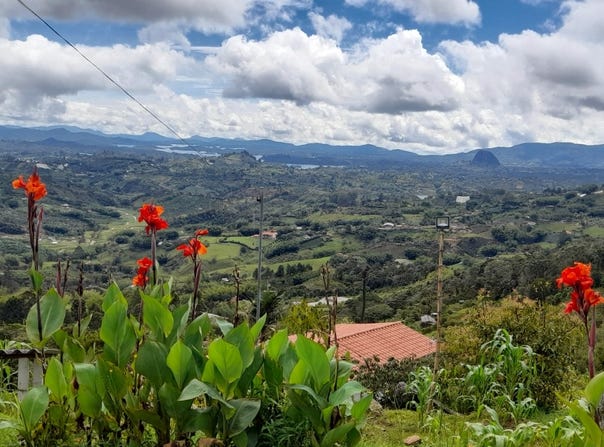 VEREDA CONCORDIA, EL PEÑOL; ANTIOQUIA; COLOMBIA, Peñol, Antioquia 053857