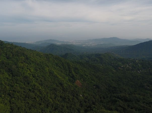 Minca, Magdalena, Magdalena 470008