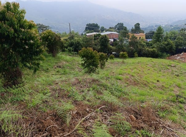 Vía La Reforma, Bella Suiza, Cali, Valle del Cauca, Colombia, Cali, Valle del Cauca 760040