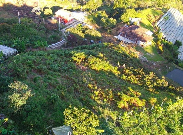 vereda el salto arnobio, El Peñol, Medellín, Antioquia, 053857., Medellin, Antioquia 053857.