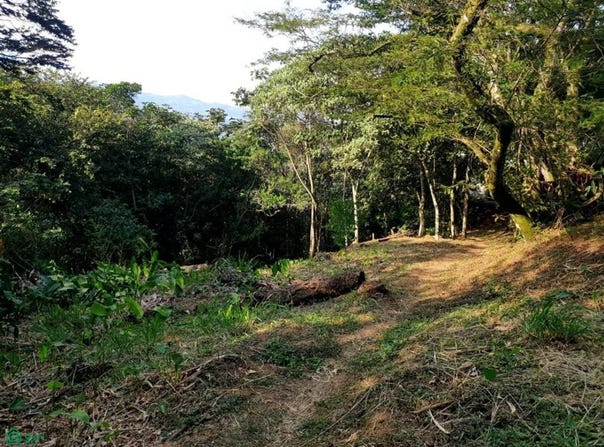 Via Alto Casa del agua ICCE SAS, El Mameyal, Cali, Valle del Cauca,, Cali, Valle del Cauca