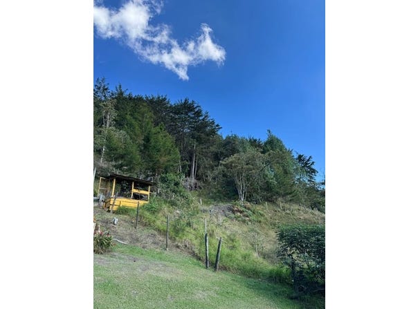 Vda. el Yarumo, La Ceja, Antioquia, Colombia, La Ceja, Antioquia 055017