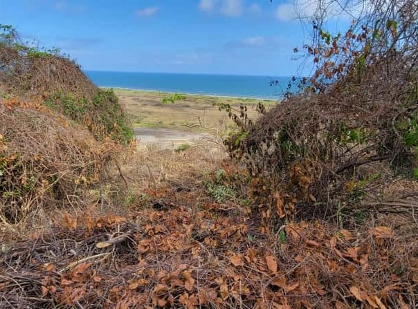 Cra. 3 #5-50, Tubará, Atlántico, Colombia, Tubará, Atlantico 081020