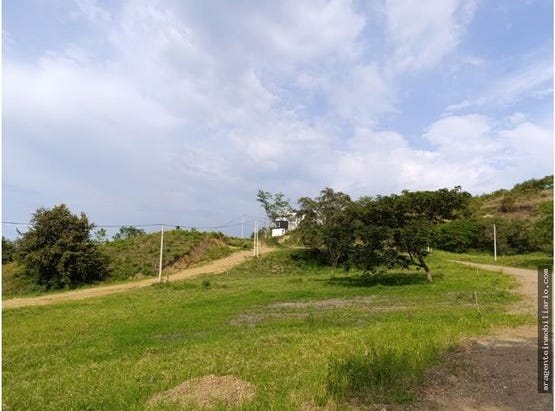 5R5H+PV Andalucía, Valle del Cauca, Colombia, Andalucía, Valle del Cauca