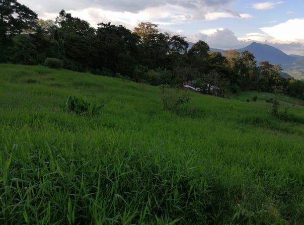 Venecia, Antioquia, Colombia, Venecia, Antioquia 056420
