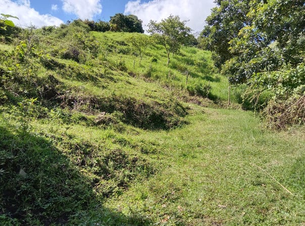 vereda el totumo, Girardota, Antioquia 051038
