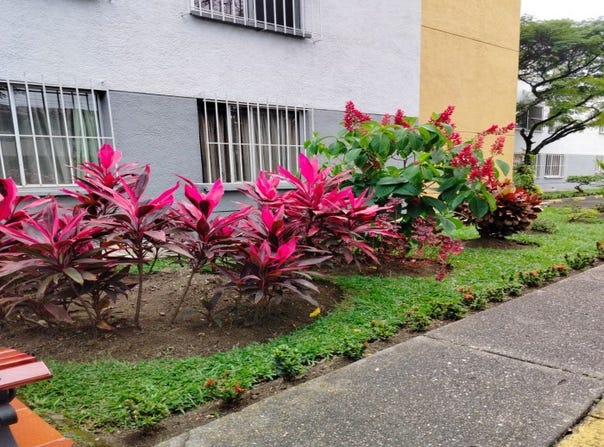 calle 6 A 47- 5, Cali, Valle del Cauca 760036