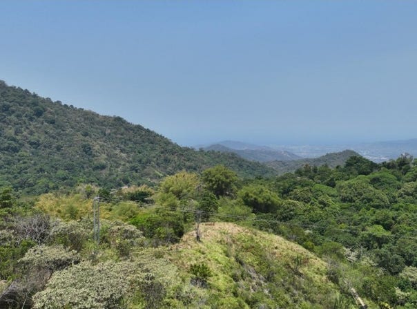 Minca, Magdalena, Magdalena 470008