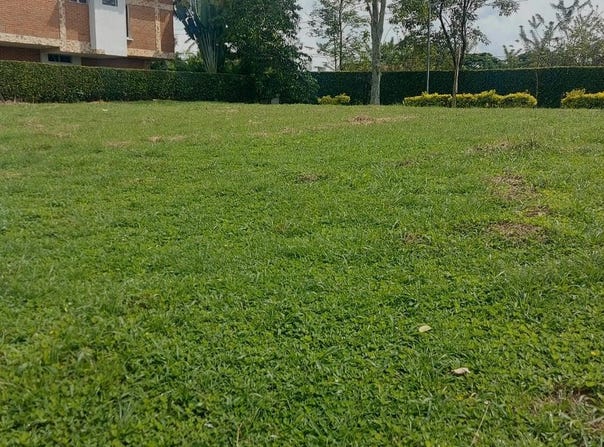 Pereira, Risaralda