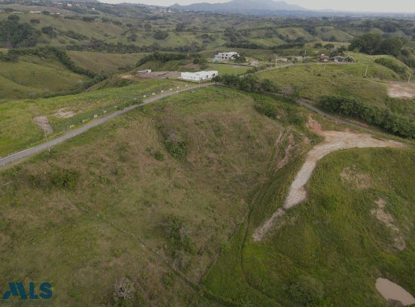 unit: 0, Pereira, Pereira