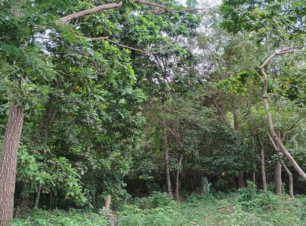 RIOHACHA, La Guajira