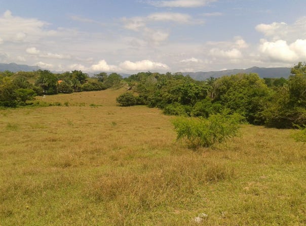 Carmen De Apicala, Tolima