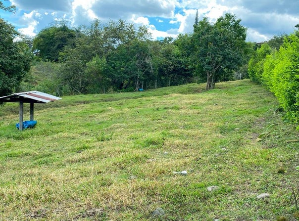JRC5+GW, El Cerrito, Valle del Cauca, Colombia, El Cerrito, Valle del Cauca 763520