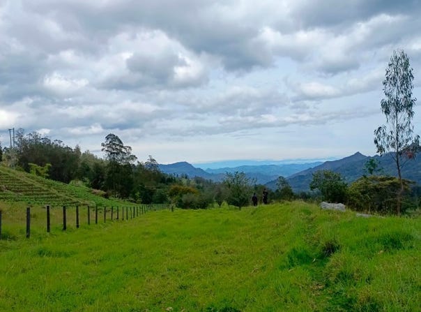 Cl. 7 #16-14, Pacho, Cundinamarca, Colombia, Pacho, Cundinamarca 254001