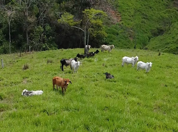 10-51 Cra. 7, Puerto Berrío, Antioquia 053420