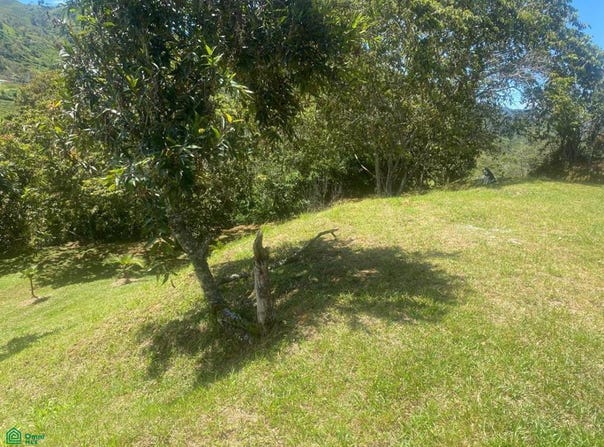 vereda santa rita predio 1, Guarne, Guarne, Antioquia, Guarne, Antioquia 53817