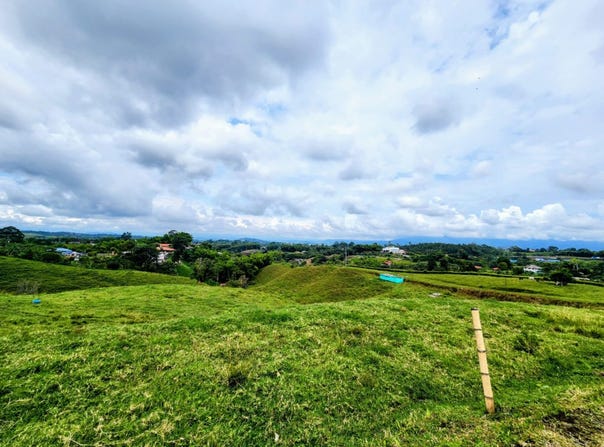 Pereira, Valle del Cauca