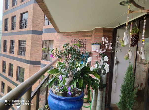 Av. 1 #1-72, Normandia Sebastian de Belalcazar, Cali, Valle del Cauca, Colombia, Cali, Valle del Cauca 760045