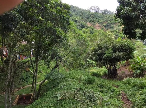 Cra. 2b Oe. #15 - 15, Cali, Valle del Cauca, Colombia, Cali, Valle del Cauca 760043