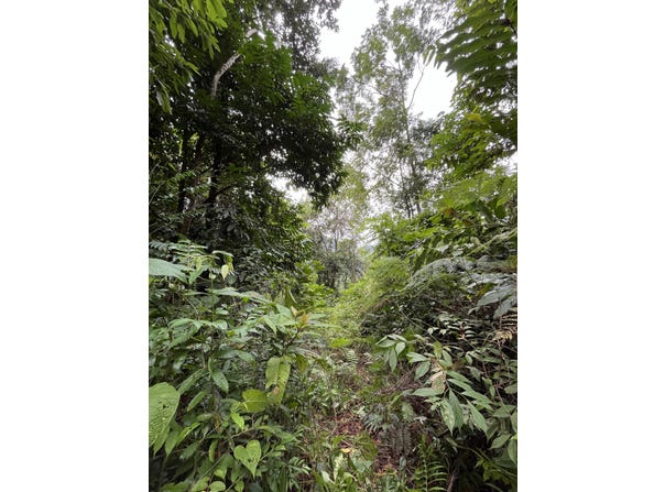 Quepos, Quepos, Puntarenas, Quepos, Puntarenas