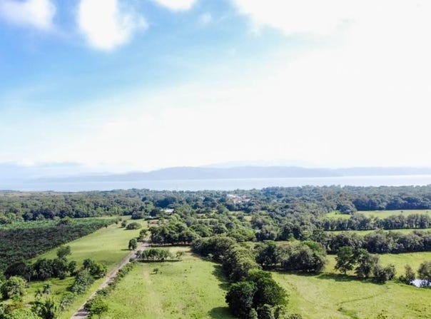 Puerto Jiménez, Puntarenas, Puntarenas, Puntarenas, Puntarenas