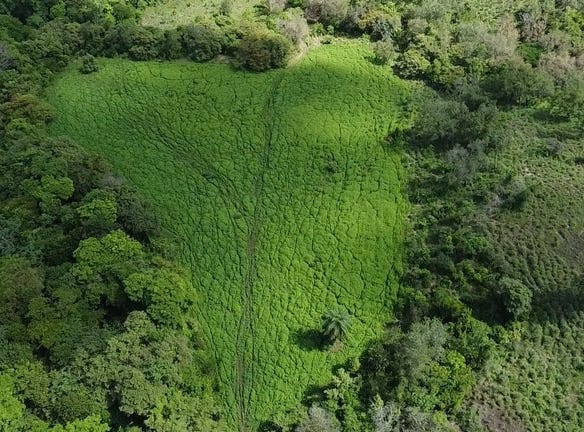 Riverfront, Mountain and Countryside Agricultural Land For Sale in Cañas Dulces, Cañas Dulces, Guanacaste