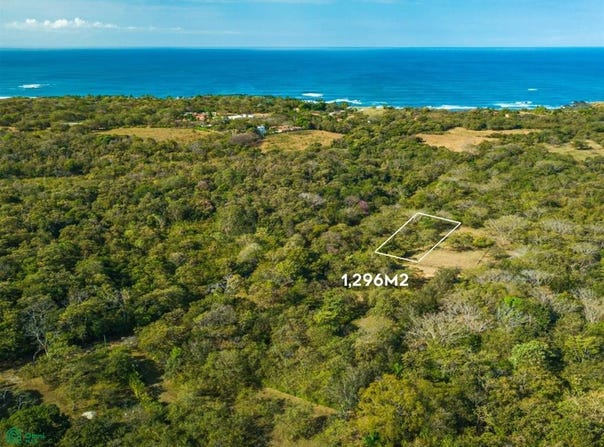 Orchards of Playa Blanca , Veintisiete de Abril, Santa Cruz, Guanacaste, Santa Cruz, Guanacaste 50303