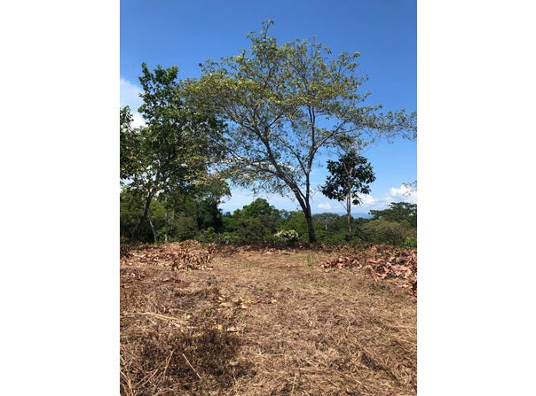 Golfito>Pavones, Pavones, Puntarenas, Pavones, Puntarenas