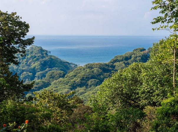 Finca Pacífica Barú, Savegre de Aguirre, Puntarenas Province