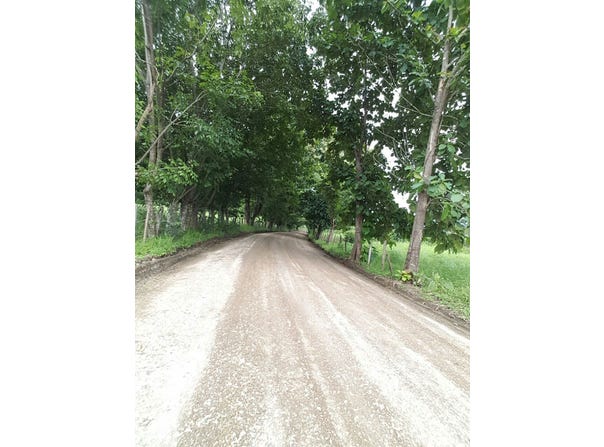 Quiriman, Santa Cruz, Guanacaste, Santa Cruz, Guanacaste