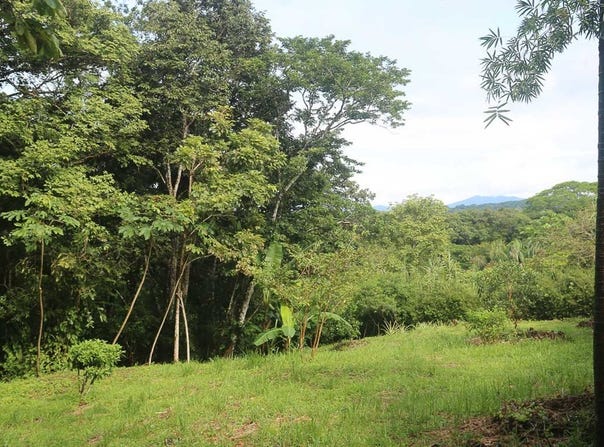 Nature-Focused Eco Residential Lots in Santiago - Santiago, Santa Teresa, Puntarenas Province