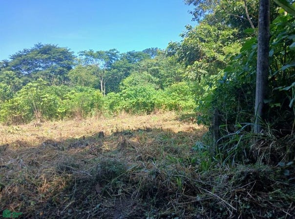 Phase 5, Lot 40 s/n, Puerto Cortés, Osa, Puntarenas, Osa, Puntarenas