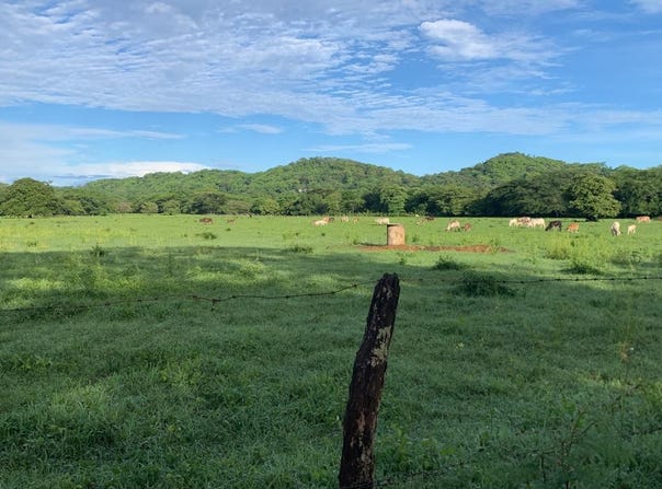 9648+V5G, Provincia de Guanacaste, Huacas, Costa Rica, Tamarindo, Guanacaste Province