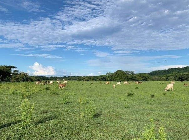 La Garita Nueva , Tamarindo, Santa Cruz, Guanacaste, Santa Cruz, Guanacaste 50309