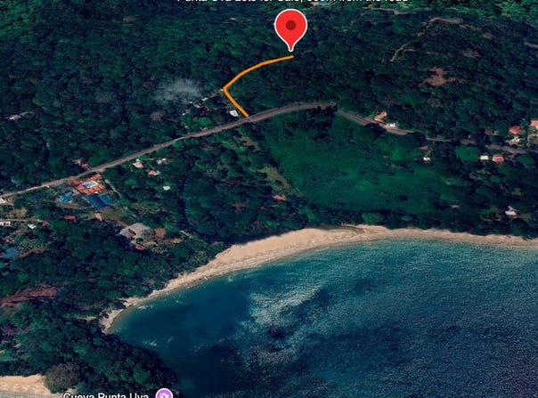Punta Uva, Cahuita, Limon 000696