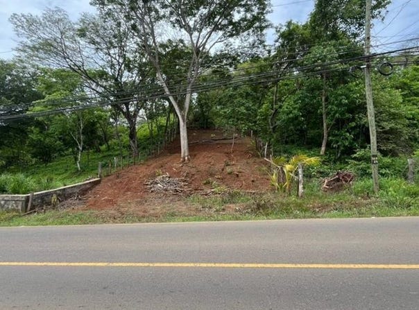 Matapalo , Cabo Velas, Santa Cruz, Guanacaste, Santa Cruz, Guanacaste 50308