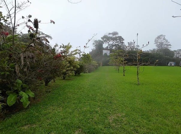 Alto San Juan, camino a playa Dominical., Pérez Zeledón, San José, Pérez Zeledón, San José