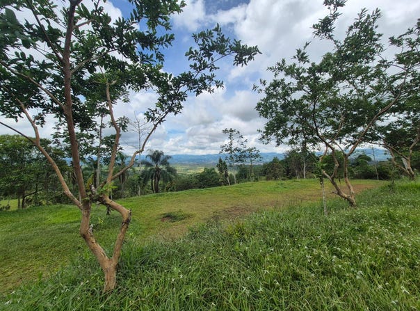 Miravalles, Pérez Zeledón, San José, Pérez Zeledón, San José
